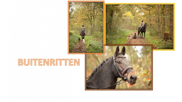 BUITENRIT