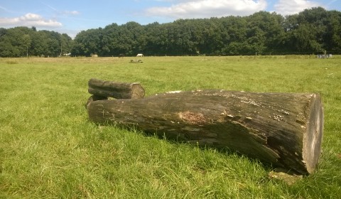 Crosswei met natuurlijke hindernissen